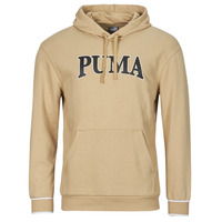 Textil Homem Sweats Puma Puma-select PUMA Puma-select SQUAD HOODIE TR Bege