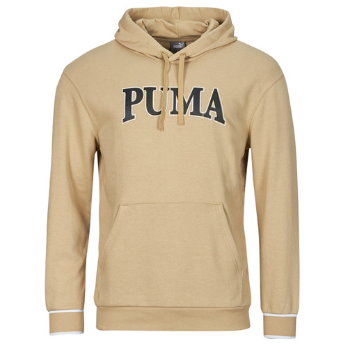 Textil Homem Sweats size Puma size Puma SQUAD HOODIE TR Bege