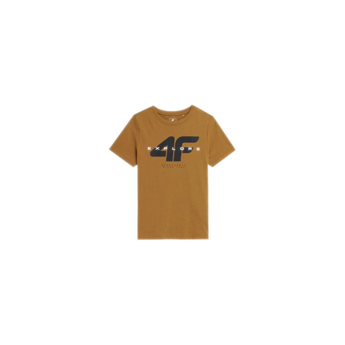 Textil Rapaz T-Shirt mangas curtas 4F 4FJSS23TTSHM29082S Castanho