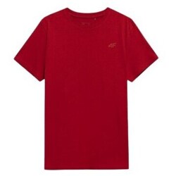 Textil Homem T-Shirt mangas curtas 4F 4FAW23TTSHM087662S Vermelho