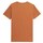 Textil Homem T-Shirt mangas curtas 4F 4FSS23TTSHM36481S Castanho