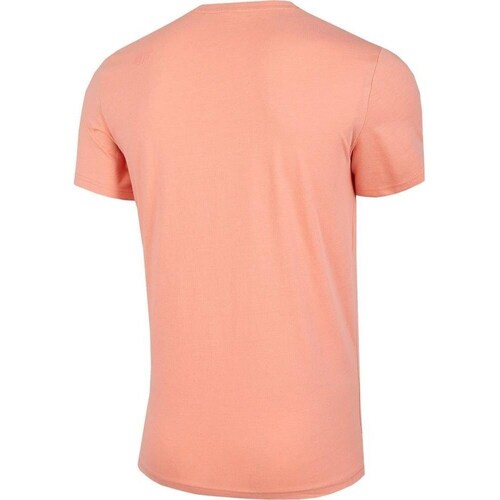 4F H4L22TSM04664S Laranja