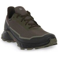 Sapatos Homem Sapatilhas Salomon Alphacross 5 Gtx Castanho