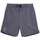 Textil Homem Calças curtas 4F 4FSS23TSHOM08622S Grafite