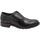 Sapatos Homem Richelieu Antica Cuoieria ANC-CCC-22583-TM Castanho