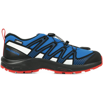 Sapatos Rapaz Sapatos de caminhada Scarpa Salomon Xa Pro V8 Cswp J Azul