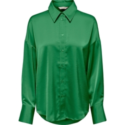 Textil Mulher Tops / Blusas Only Camisa Marta Oversize - Peppermint Verde