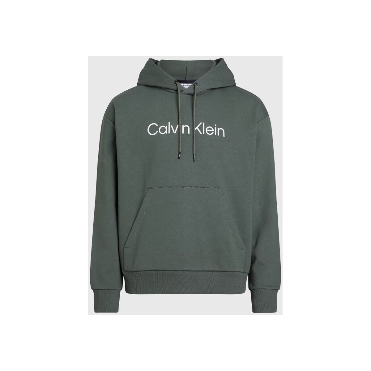 Textil Homem Sweats Calvin Klein Jeans K10K111345 Verde