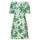 Textil Mulher Vestidos curtos Desigual VEST_NASHVILLE Verde / Branco