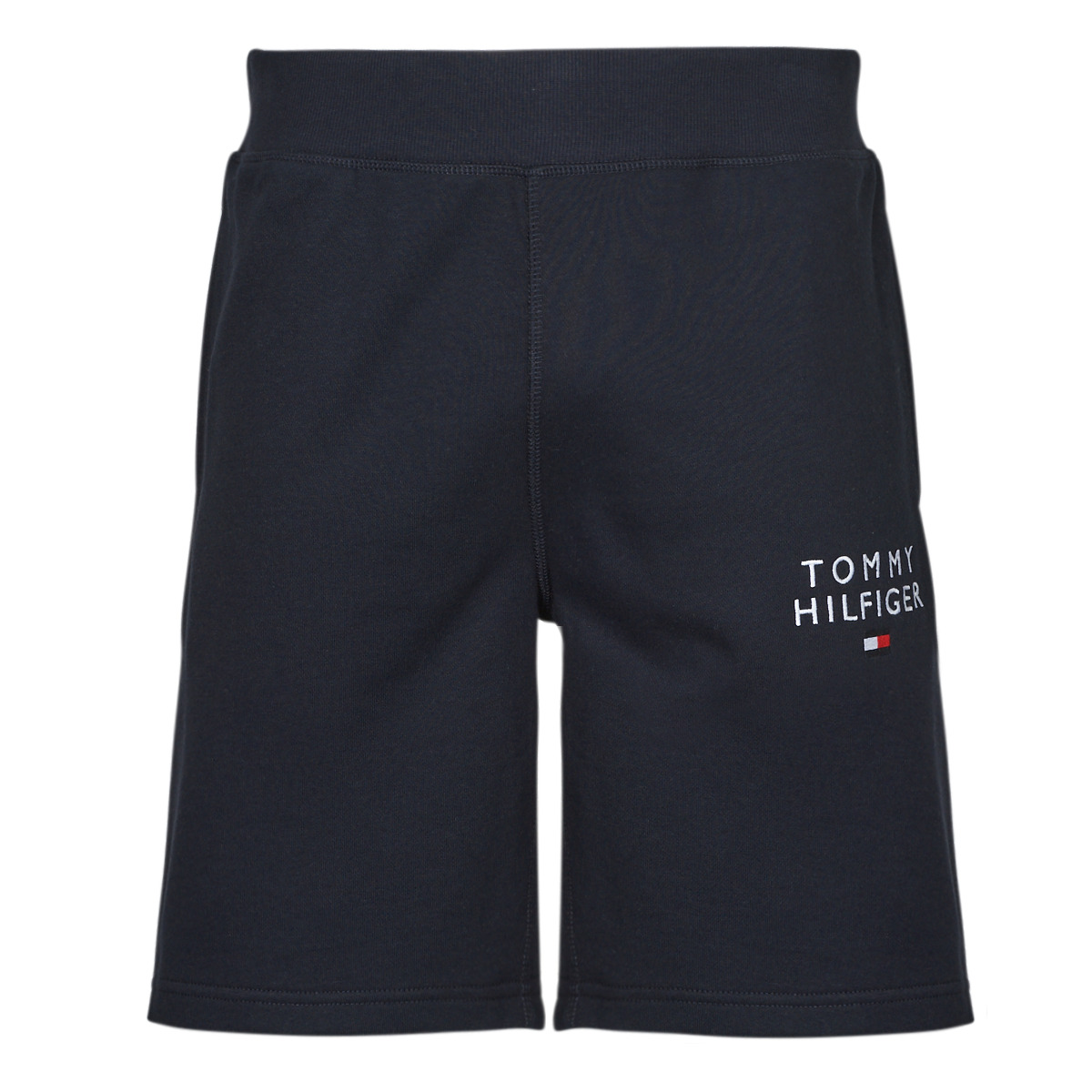 Textil Homem Shorts / Bermudas Tommy Statment Hilfiger SHORT HWK Marinho