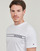 Textil Homem T-Shirt mangas curtas Tommy Hilfiger MONOTYPE STRIPE Branco