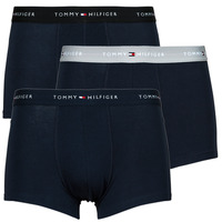 Tommy Hilfiger AW0AW116230KP