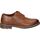 Sapatos Homem Ver as C.G.V 142083 Castanho