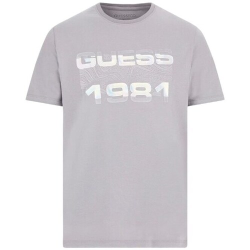 Textil Homem T-Shirt mangas curtas Guess M3BI77J1314G9M9 Cinza