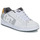 Sapatos Homem Sapatilhas DC Shoes NET Branco / Cinza