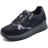 Sapatos Mulher Sapatilhas IgI&CO 4673100 Scam Preto