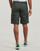 Textil Homem Shorts / Bermudas Teddy Smith SYTRO 3 Cáqui