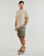 Textil Homem Maxi Shorts / Bermudas Teddy Smith EROL SH Cáqui