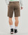 Textil Homem Shorts pants / Bermudas Volcom FRCKN MDN STRCH SHT 21 Castanho
