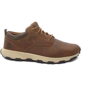 Sapatos Homem Sapatilhas Grainleopard Timberland TIM-I23-A5YD5-RU Castanho