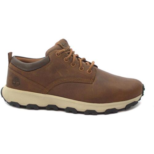 Sapatos Homem Sapatilhas Timberland TIM-I23-A5YD5-RU Castanho