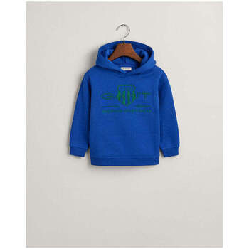 Textil Rapaz Sweats Gant Kids 806789-400-3-17 Azul