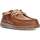 Sapatos Homem Sapatos & Richelieu Dude SAPATOS  WALLY GRIP 40175 Castanho