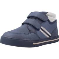 Sapatos Rapaz Botas Chicco ANKLE BOOT FIX Azul