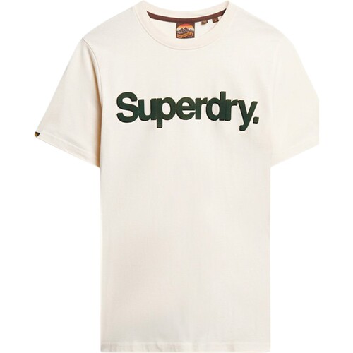 Textil Homem T-Shirt mangas curtas Superdry 223247 Branco