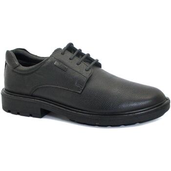 Sapatos Homem Richelieu Melluso MEL-CCC-U55284-NE Preto