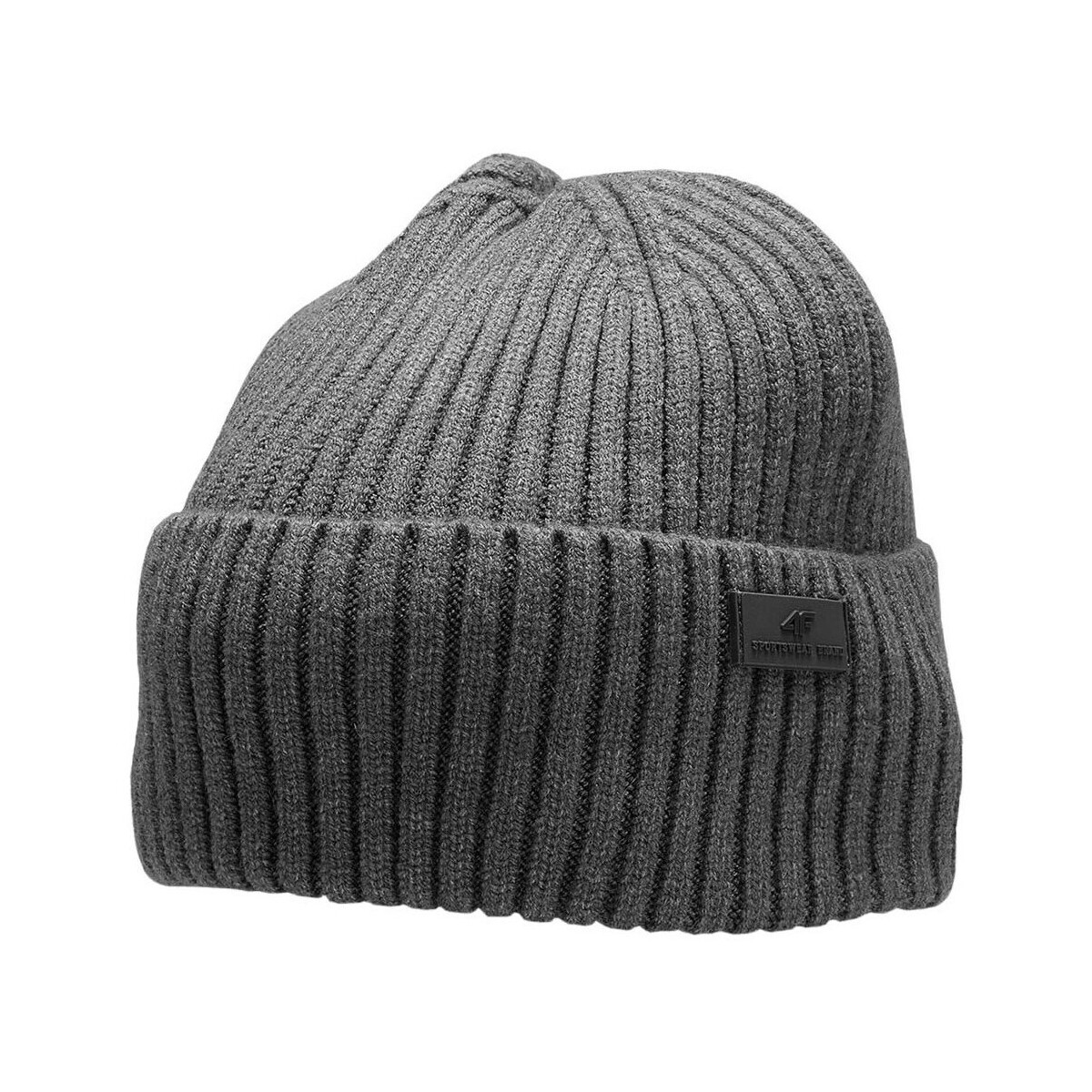 Acessórios Homem Gorro 4F H4Z22CAM00324M Cinza