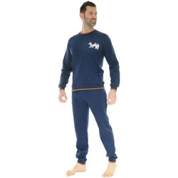 Textil Homem Pijamas / Camisas de dormir Christian Cane DARIUS Azul