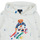 Textil Criança Sweats Polo Ralph Lauren BEAR PO HOOD-KNIT SHIRTS-SWEATSHIRT Branco / Multicolor