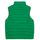 Textil Rapaz Quispos Polo logo Ralph Lauren REV TERRA VST Azul / Verde / Laranja