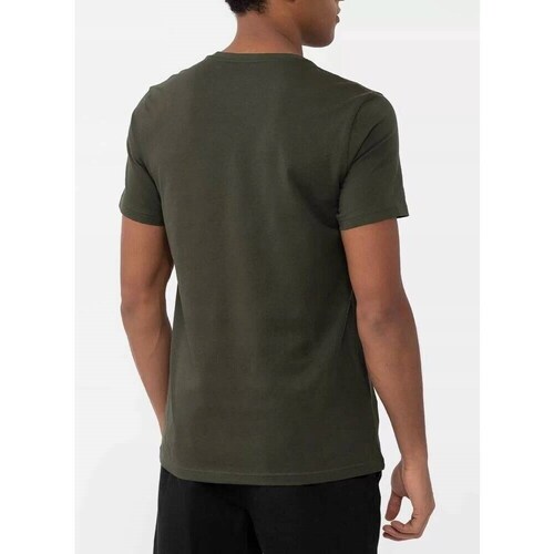 4F 4FAW23TTSHM095043S Verde azeitona