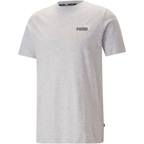 Textil Homem T-Shirt mangas curtas Puma 223842 Cinza