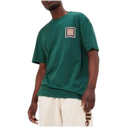 Textil Homem T-Shirt mangas curtas Ellesse  Verde