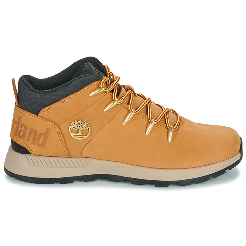 Timberland SPRINT TREKKER Castanho