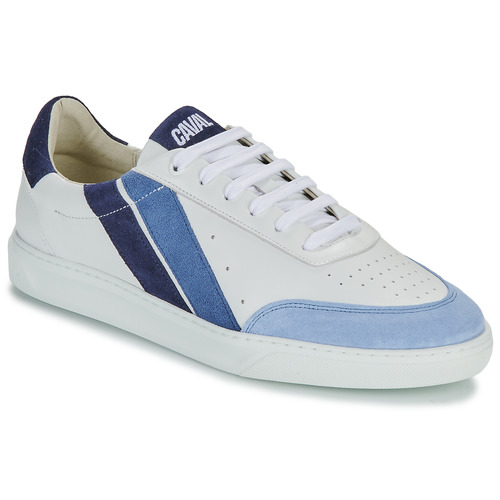 Sapatos Homem Sapatilhas Caval LOW SLASH 50 SHADES OF BLUE Branco / Azul