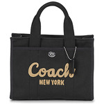 Coach Tall Bleecker Mini Riley Carryall Bag