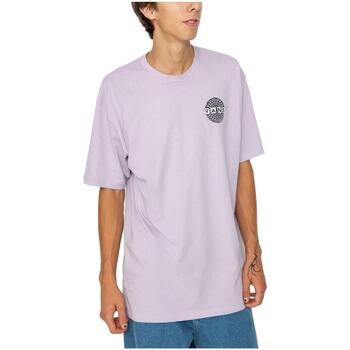 Textil Homem T-Shirt mangas curtas Vans hat  Violeta