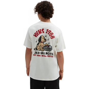 Textil Homem T-shirts e Pólos Vans Rhythm pup ss tee Bege