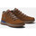 Sapatos Homem Sapatilhas Timberland Sptk mid lace sneaker Castanho