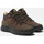 Sapatos Homem Sapatilhas Timberland Sptk mid lc waterproof sneaker Verde