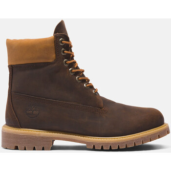 Sapatos Homem Botas Timberland Trainers Prem 6 in lace waterproof boot Castanho