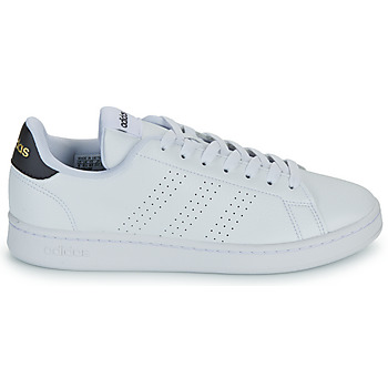 Adidas Sportswear ADVANTAGE Branco / Ameixa