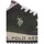 Sapatos Homem Sapatilhas U.S Polo Assn. CLEEF005 Castanho
