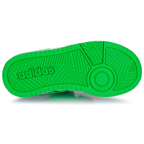 Adidas Sportswear HOOPS 3.0 CF C Azul / Verde