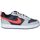 Sapatos Mulher Multi-desportos Nike DV5456-003 Cinza