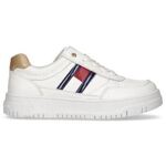 Flag Low Cut Lace-up Snea